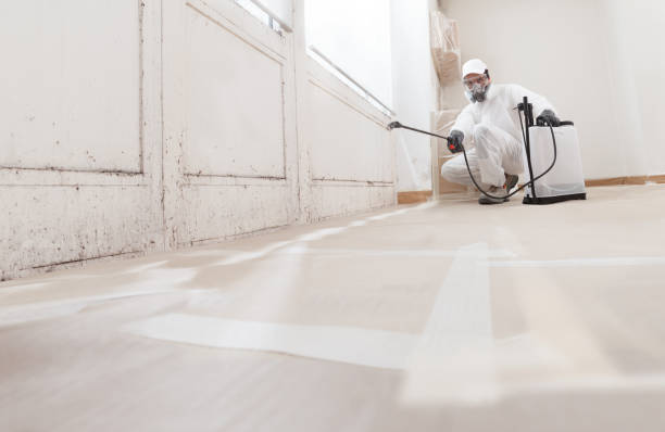 24/7 Emergency Attic Mold Removal experts in Annandale, NJ